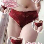 ヒメ日記 2026/03/14 13:39 投稿 きりか 即アポ奥さん～静岡店～