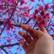 みのり 掴みどころのない紳士^_^🤣💓 性感マッサージ アロマじらし隊 池袋北口店