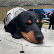 ヒメ日記 2026/03/16 18:41 投稿 るのあ ビギナーズ神戸