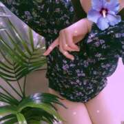 ヒメ日記 2025/11/20 12:16 投稿 えいみ 越谷熟女デリヘル マダムエプロン