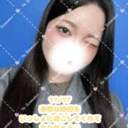 ヒメ日記 2025/11/19 16:05 投稿 れいな 池袋ぱんぷきん（シンデレラグループ）