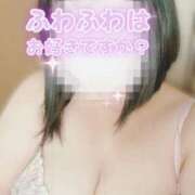 ヒメ日記 2025/10/13 13:31 投稿 いぶき 宮城仙南ちゃんこ