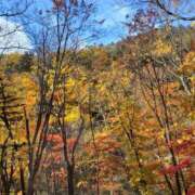 ヒメ日記 2025/10/24 11:54 投稿 豊田 熟女の風俗最終章 横浜本店