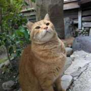 ヒメ日記 2025/10/25 10:05 投稿 豊田 熟女の風俗最終章 横浜本店