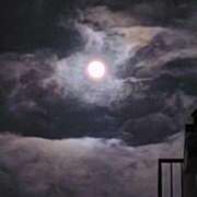 ヒメ日記 2025/11/10 11:08 投稿 豊田 熟女の風俗最終章 横浜本店