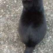 ヒメ日記 2025/11/26 09:26 投稿 豊田 熟女の風俗最終章 横浜本店