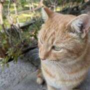 ヒメ日記 2025/12/01 09:07 投稿 豊田 熟女の風俗最終章 横浜本店