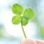 ヒメ日記 2026/02/04 10:04 投稿 豊田 熟女の風俗最終章 横浜本店