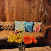 ヒメ日記 2026/02/19 10:13 投稿 豊田 熟女の風俗最終章 横浜本店