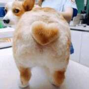 ヒメ日記 2026/02/26 10:20 投稿 豊田 熟女の風俗最終章 横浜本店