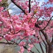 豊田 おはようございます 熟女の風俗最終章 横浜本店