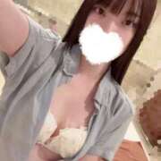 ヒメ日記 2025/12/08 08:39 投稿 ナナセ ピカソ