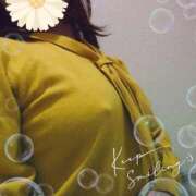 ヒメ日記 2026/04/17 22:05 投稿 ゆかり 即アポマダム～名古屋店～