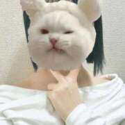 ヒメ日記 2025/11/05 23:56 投稿 斉藤あかり e女商事 池袋店