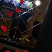 舞姫りえこ 色気？？ ブルーバード