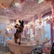 ヒメ日記 2025/11/01 11:02 投稿 いと★圧倒的ロリ天使S嬢 BUNNY PLAS