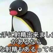 ヒメ日記 2026/02/02 12:41 投稿 いと★圧倒的ロリ天使S嬢 BUNNY PLAS