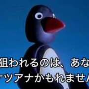 ヒメ日記 2026/02/05 02:09 投稿 いと★圧倒的ロリ天使S嬢 BUNNY PLAS