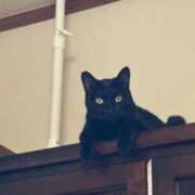 ヒメ日記 2025/10/06 15:08 投稿 あすか(昭和49年生まれ) 熟年カップル名古屋～生電話からの営み～