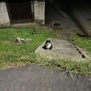 ヒメ日記 2025/10/30 17:09 投稿 ことみ モアグループ宇都宮人妻花壇