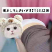 ヒメ日記 2025/10/14 05:50 投稿 ななほ 池袋モンデミーテ（シンデレラグループ）