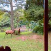 ヒメ日記 2025/10/22 22:01 投稿 ななほ 池袋モンデミーテ（シンデレラグループ）