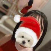 ヒメ日記 2025/12/23 15:51 投稿 ななほ 池袋モンデミーテ（シンデレラグループ）