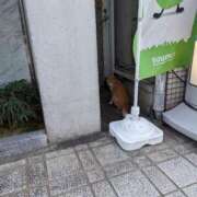 ヒメ日記 2026/01/12 22:04 投稿 ななほ 池袋モンデミーテ（シンデレラグループ）