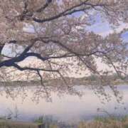 ヒメ日記 2026/04/10 12:47 投稿 レゼ ドMなバニーちゃん水戸店