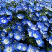 ヒメ日記 2026/04/14 18:07 投稿 レゼ ドMなバニーちゃん水戸店