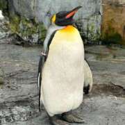 ヒメ日記 2025/10/29 21:31 投稿 南（ミナミ） アバンチュール(五反田)