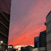 ヒメ日記 2025/11/03 18:31 投稿 南（ミナミ） アバンチュール(五反田)