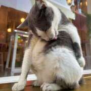 ヒメ日記 2025/11/06 19:01 投稿 南（ミナミ） アバンチュール(五反田)