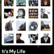 ヒメ日記 2025/11/16 07:31 投稿 南（ミナミ） アバンチュール(五反田)