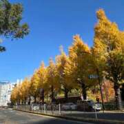 ヒメ日記 2025/11/30 13:31 投稿 南（ミナミ） アバンチュール(五反田)