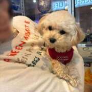 ヒメ日記 2025/12/13 00:16 投稿 南（ミナミ） アバンチュール(五反田)