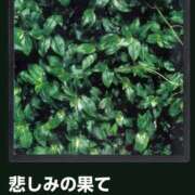 ヒメ日記 2025/12/14 08:31 投稿 南（ミナミ） アバンチュール(五反田)