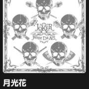 ヒメ日記 2025/12/19 07:16 投稿 南（ミナミ） アバンチュール(五反田)