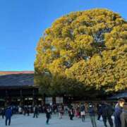 ヒメ日記 2026/01/25 16:01 投稿 南（ミナミ） アバンチュール(五反田)