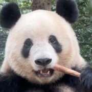 ヒメ日記 2026/01/29 14:16 投稿 南（ミナミ） アバンチュール(五反田)