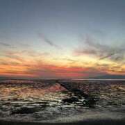 ヒメ日記 2026/02/09 19:31 投稿 南（ミナミ） アバンチュール(五反田)