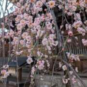 ヒメ日記 2026/02/15 11:46 投稿 南（ミナミ） アバンチュール(五反田)