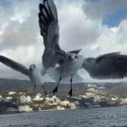 ヒメ日記 2026/02/23 11:16 投稿 南（ミナミ） アバンチュール(五反田)