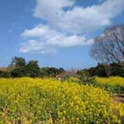 ヒメ日記 2026/02/23 19:16 投稿 南（ミナミ） アバンチュール(五反田)