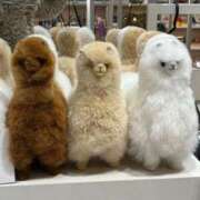 ヒメ日記 2026/03/06 15:16 投稿 南（ミナミ） アバンチュール(五反田)