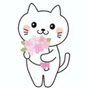 ヒメ日記 2026/03/13 23:16 投稿 南（ミナミ） アバンチュール(五反田)