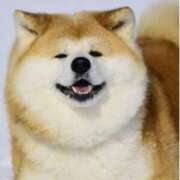 ヒメ日記 2026/04/09 23:47 投稿 南（ミナミ） アバンチュール(五反田)