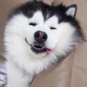 ヒメ日記 2026/04/10 23:16 投稿 南（ミナミ） アバンチュール(五反田)