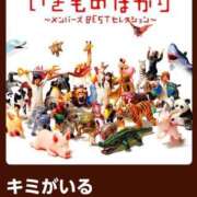 ヒメ日記 2026/07/23 09:16 投稿 南（ミナミ） アバンチュール(五反田)