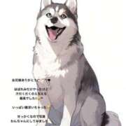 ヒメ日記 2025/12/22 22:39 投稿 れみ FORTE